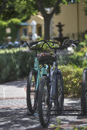 Franschhoek Country House & Villas Cape Winelands South Africa Luxury Family Safaris Coral Tree Travel