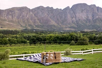 Mont Rochelle Cape Winelands South Africa Luxury Family Safaris Coral Tree Travel