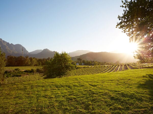 La Cotte Farm Cape Winelands South Africa Luxury Family Safaris Coral Tree Travel