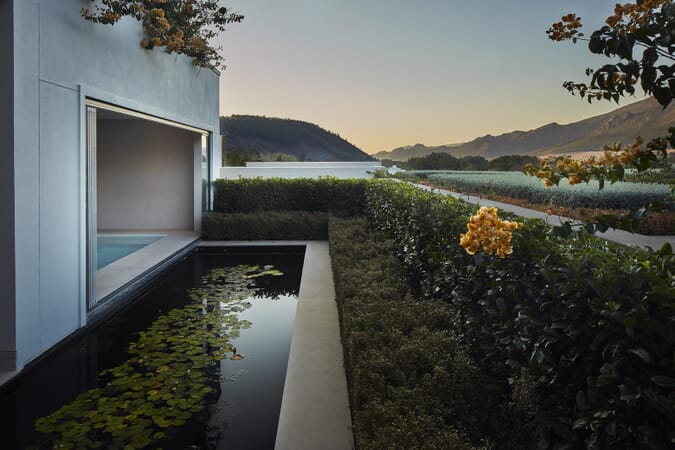 Leeu House Cape Winelands South Africa Luxury Family Safaris Coral Tree Travel