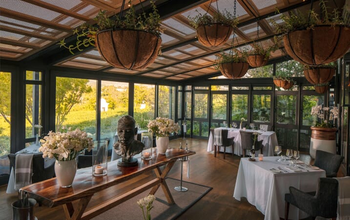 Leeu House Cape Winelands South Africa Luxury Family Safaris Coral Tree Travel