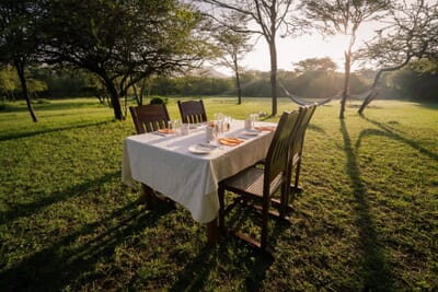 Instinct of the Mara Masai Mara Luxury Family Safaris Kenya Coral Tree Travel