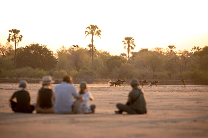 Puku Ridge Camp Luxury Family Safaris Zambia Coral Tree Travel