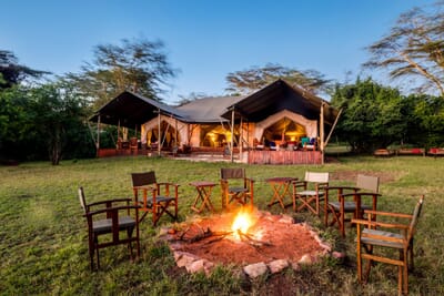 Instinct of the Mara Masai Mara Luxury Family Safaris Kenya Coral Tree Travel