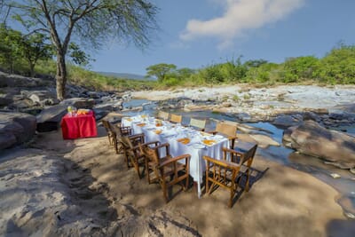 Instinct of the Mara Masai Mara Luxury Family Safaris Kenya Coral Tree Travel