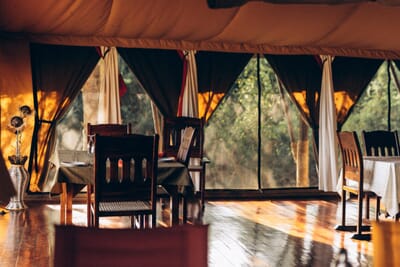 Instinct of the Mara Masai Mara Luxury Family Safaris Kenya Coral Tree Travel