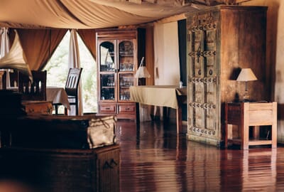 Instinct of the Mara Masai Mara Luxury Family Safaris Kenya Coral Tree Travel