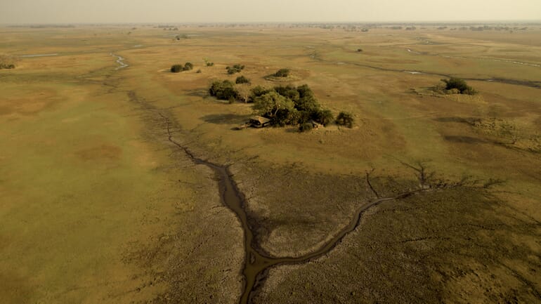 Busanga Plains Camp Luxury Family Safaris Zambia Coral Tree Travel