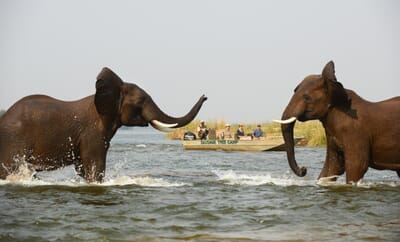 Sausage Tree Camp Luxury Family Safaris Zambia Coral Tree Travel