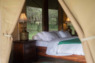 Instinct of the Mara Masai Mara Luxury Family Safaris Kenya Coral Tree Travel