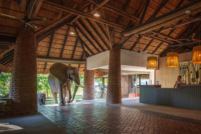 Mfuwe Lodge Luxury Family Safaris Zambia Coral Tree Travel