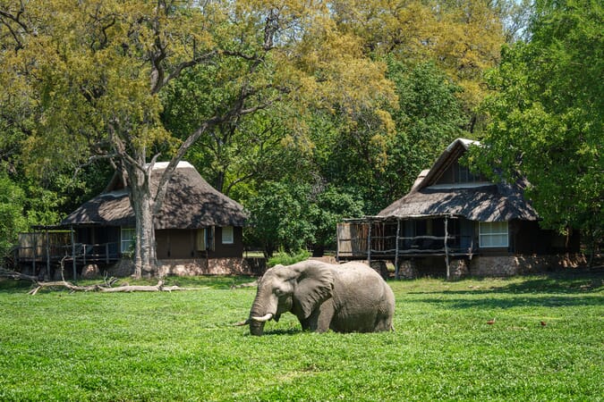 Mfuwe Lodge Luxury Family Safaris Zambia Coral Tree Travel