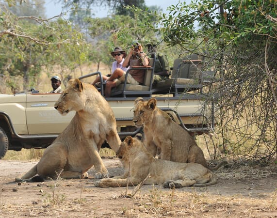 Potato Bush Camp Luxury Family Safaris Zambia Coral Tree Travel