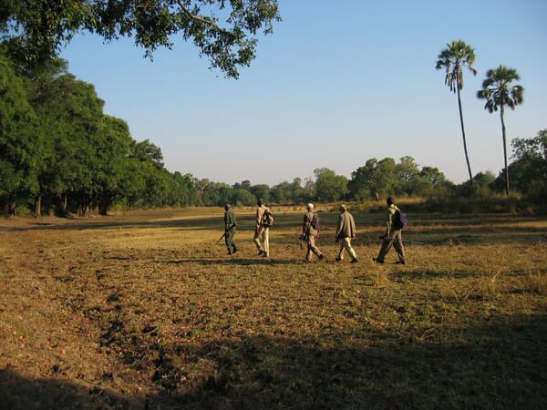 Island Bush Camp Luxury Family Safaris Zambia Coral Tree Travel