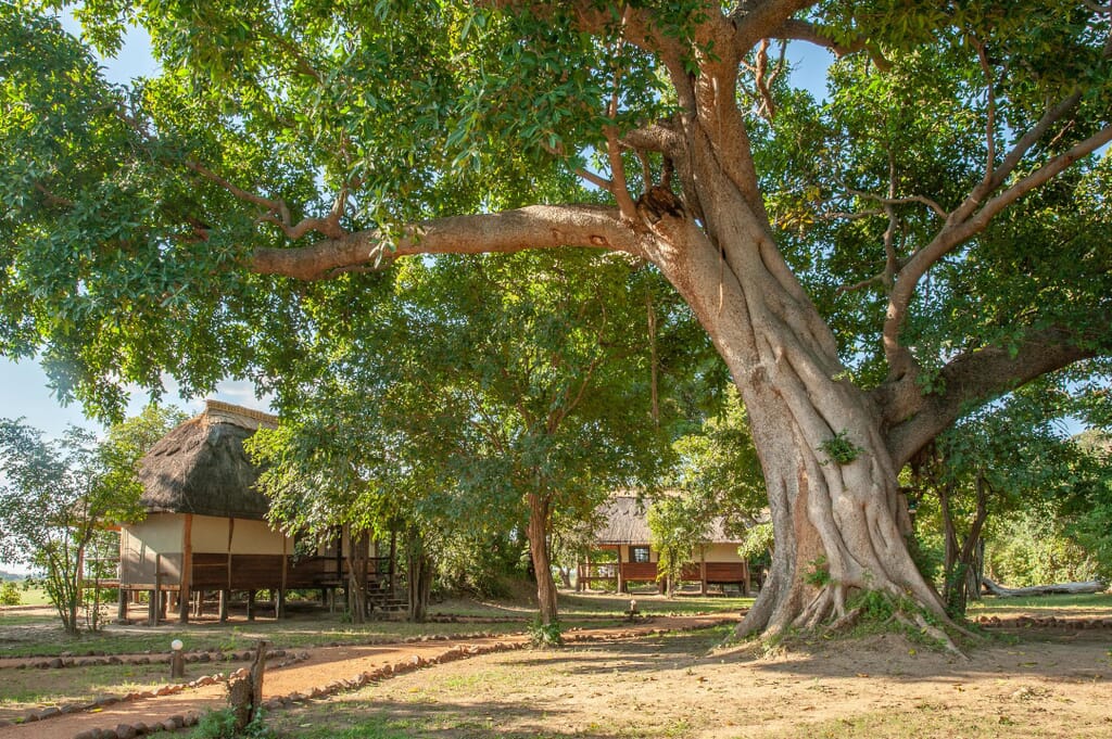 Kafunta-River-Lodge-Standard-chalet_1.jpg?w=1024&h=681&scale