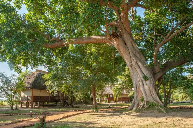 Kafunta River Lodge Luxury Family Safaris Zambia Coral Tree Travel