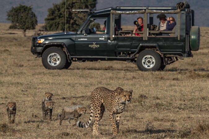 Kicheche Mara Camp Masai Mara Luxury Family Safaris Kenya Coral Tree Travel