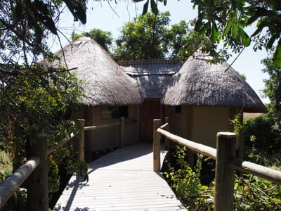 Lion Camp Luxury Family Safaris Zambia Coral Tree Travel