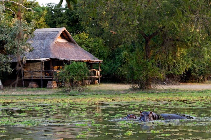Mfuwe Lodge Luxury Family Safaris Zambia Coral Tree Travel