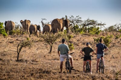Sosian Lodge Lewa and Laikipia Luxury Family Safaris Kenya Coral Tree Travel