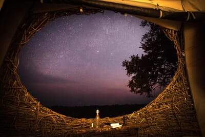 Chisa Busanga Camp Luxury Family Safaris Zambia Coral Tree Travel