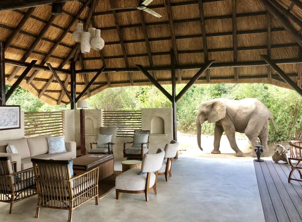 Chiawa Camp Luxury Family Safaris Zambia Coral Tree Travel