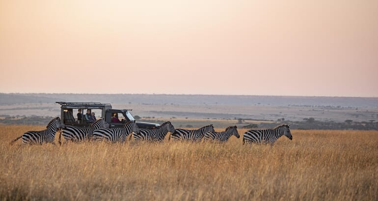 Offbeat Mara Masai Mara Luxury Family Safaris Kenya Coral Tree Travel