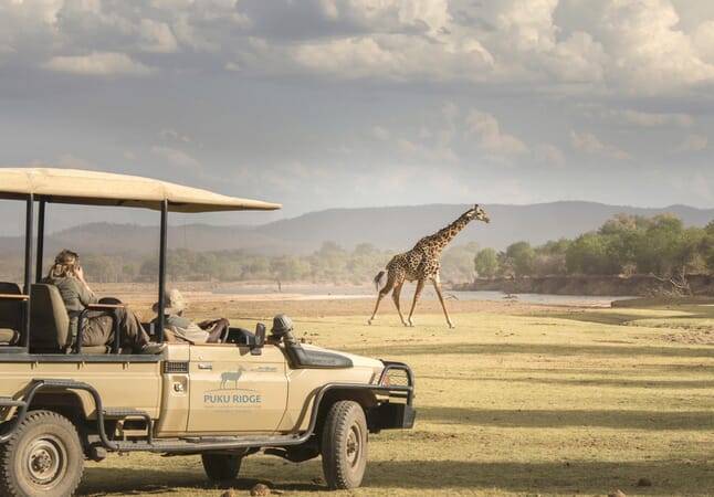 Puku Ridge Camp Luxury Family Safaris Zambia Coral Tree Travel