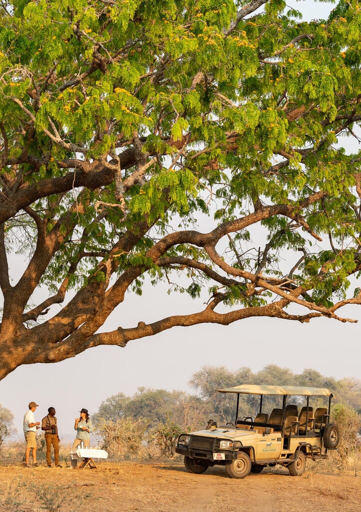 Puku Ridge Camp Luxury Family Safaris Zambia Coral Tree Travel