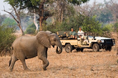 Robin's House Luxury Family Safaris Zambia Coral Tree Travel