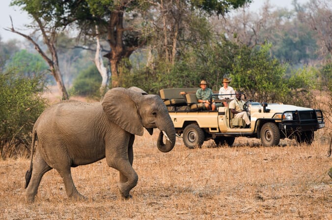 Robin's House Luxury Family Safaris Zambia Coral Tree Travel