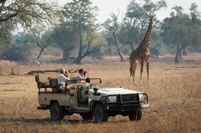 Robin's House Luxury Family Safaris Zambia Coral Tree Travel
