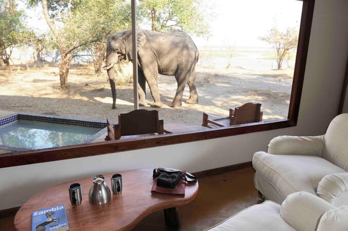 Potato Bush Camp Luxury Family Safaris Zambia Coral Tree Travel