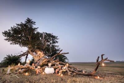 Chisa Busanga Camp Luxury Family Safaris Zambia Coral Tree Travel