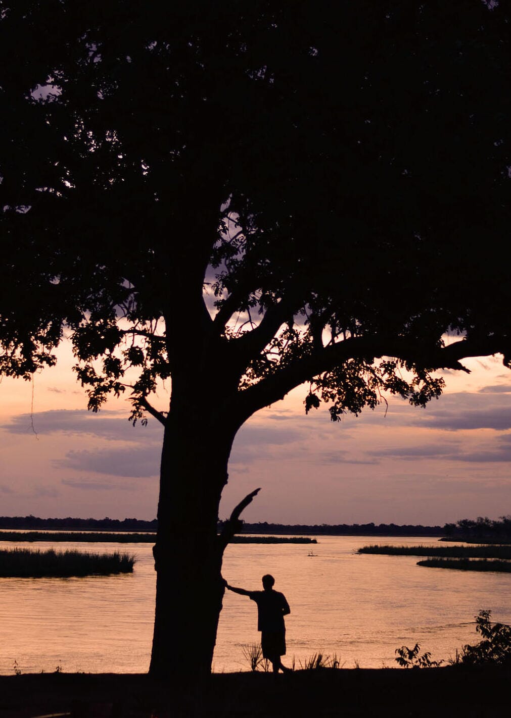 Potato Bush Camp Luxury Family Safaris Zambia Coral Tree Travel