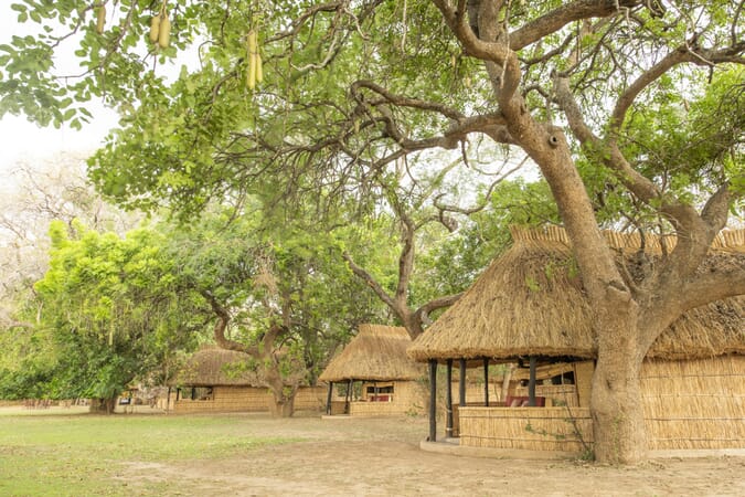 Tafika Camp Luxury Family Safaris Zambia Coral Tree Travel