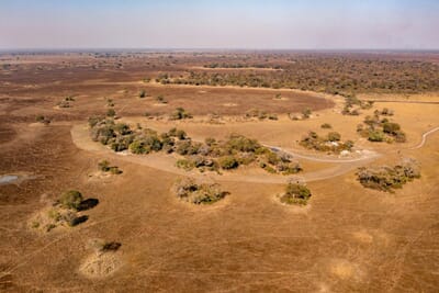 Chisa Busanga Camp Luxury Family Safaris Zambia Coral Tree Travel