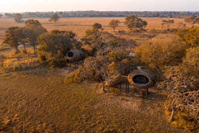 Chisa Busanga Camp Luxury Family Safaris Zambia Coral Tree Travel