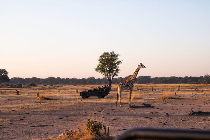 Time + Tide Chinzombo Luxury Family Safaris Zambia Coral Tree Travel