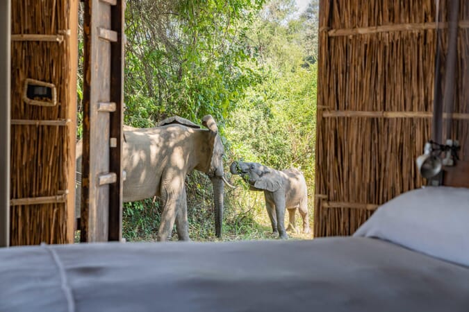 Time + Tide Chinzombo Luxury Family Safaris Zambia Coral Tree Travel