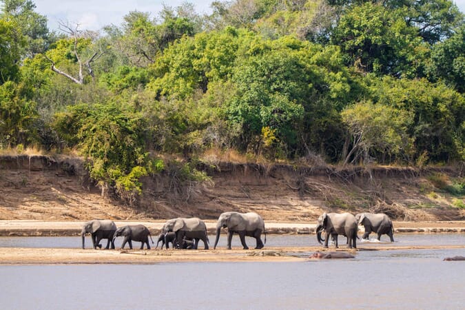 Time + Tide Mchenja Luxury Family Safaris Zambia Coral Tree Travel