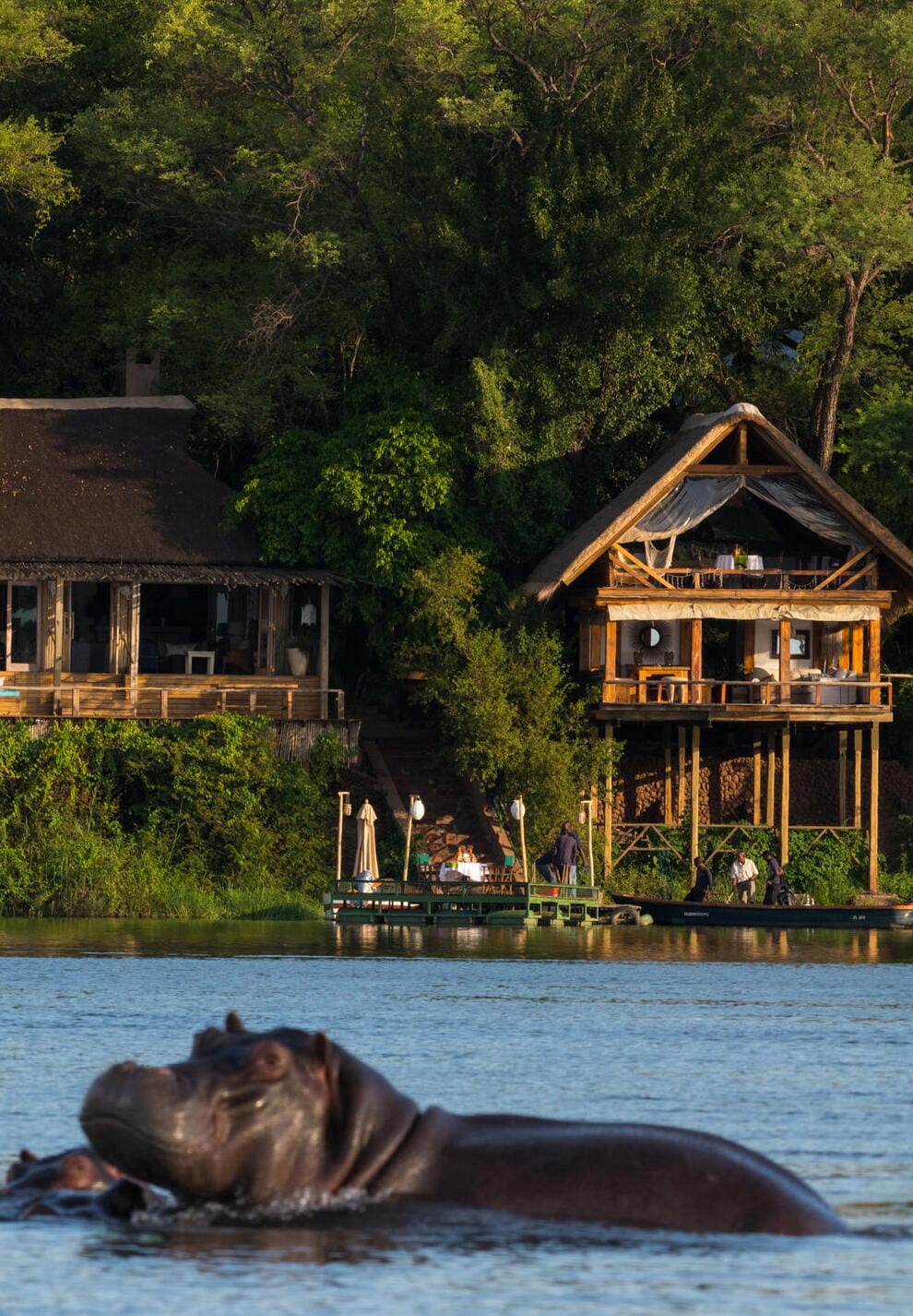 Tongabezi Lodge Luxury Family Safaris Zambia Coral Tree Travel