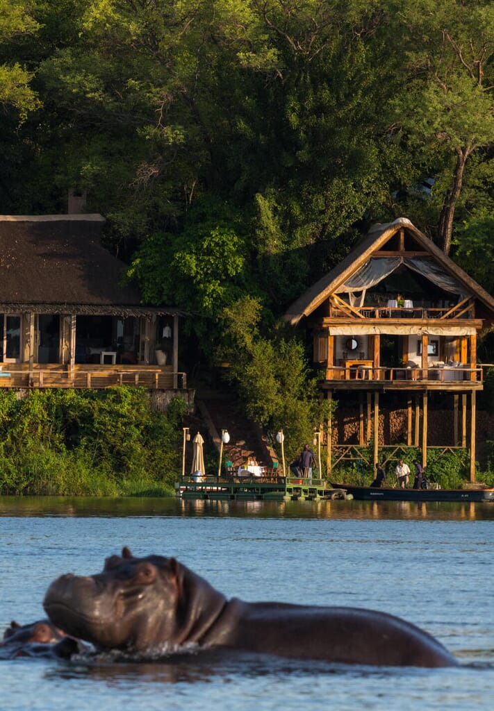 Tongabezi Lodge Luxury Family Safaris Zambia Coral Tree Travel