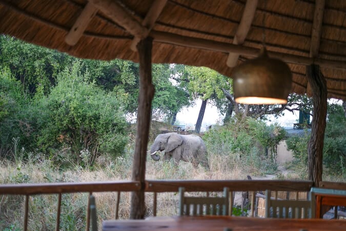 Mwamba Bush Camp Luxury Family Safaris Zambia Coral Tree Travel