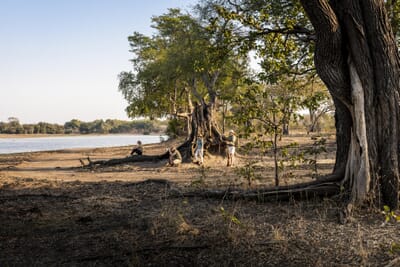 Sungani Lodge Luxury Family Safaris Zambia Coral Tree Travel