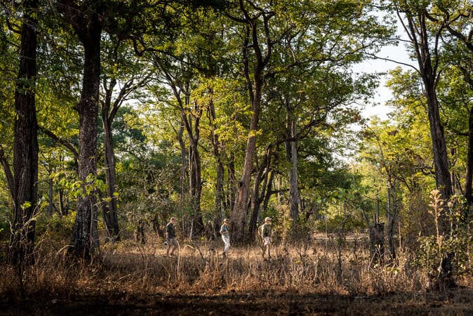 Kulandila Camp Luxury Family Safaris Zambia Coral Tree Travel