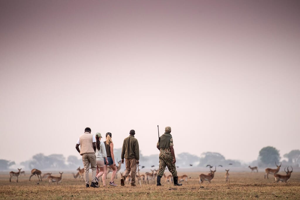 Chisa Busanga Camp Luxury Family Safaris Zambia Coral Tree Travel
