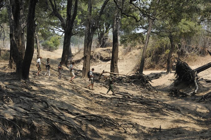 Kaingo Camp Luxury Family Safaris Zambia Coral Tree Travel