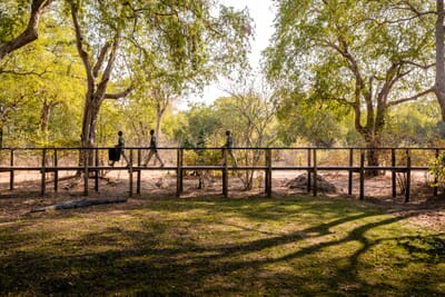 Sungani Lodge Luxury Family Safaris Zambia Coral Tree Travel
