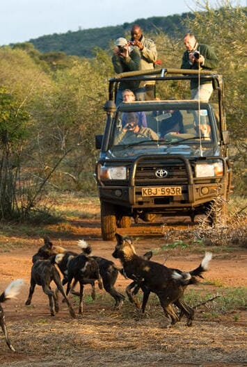 Sosian Lodge Lewa and Laikipia Luxury Family Safaris Kenya Coral Tree Travel
